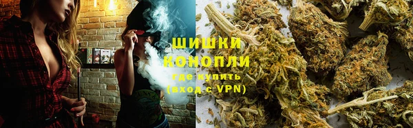сатива Балахна