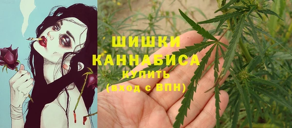 сатива Балахна