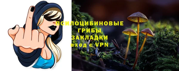 сатива Балахна