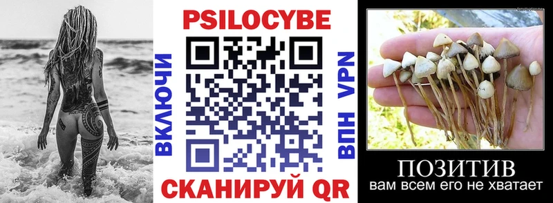 Псилоцибиновые грибы Psilocybine cubensis  купить наркотики цена  Солигалич 