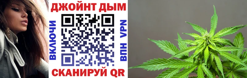 Бошки Шишки VHQ  Солигалич 
